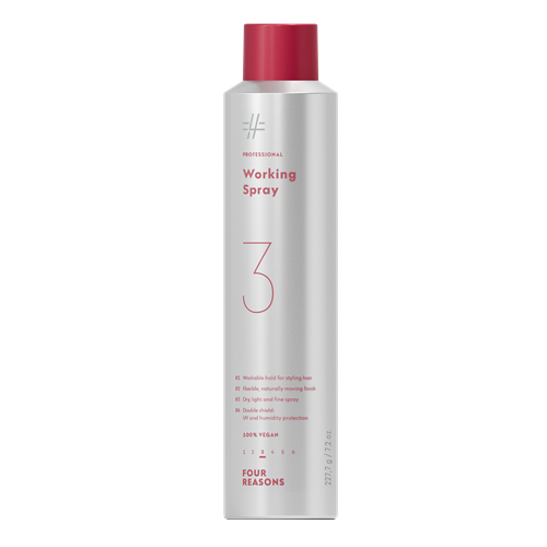 FR PRO Working Spray 300ml