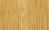 GLOSS - 10C/10.4 PLATINE.CUIVRE 60ML