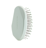 BROSSE SCALP.SPA